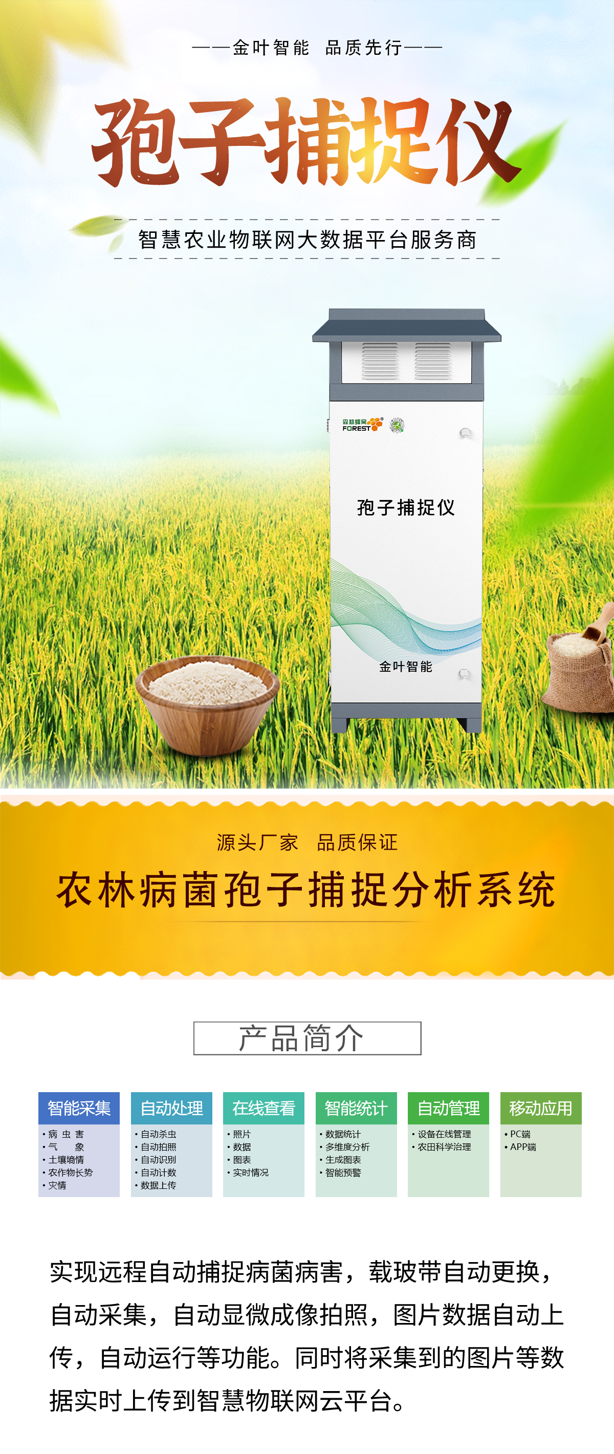 1758004117167603.jpg b_01.jpg